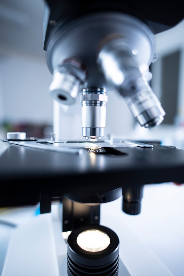 services-03 Detailed view of a laboratory microscope focusing on lens and optical components.